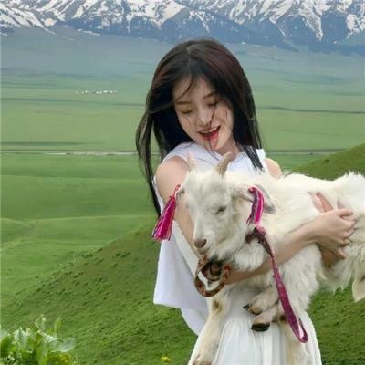 拆挡拍挡粤语