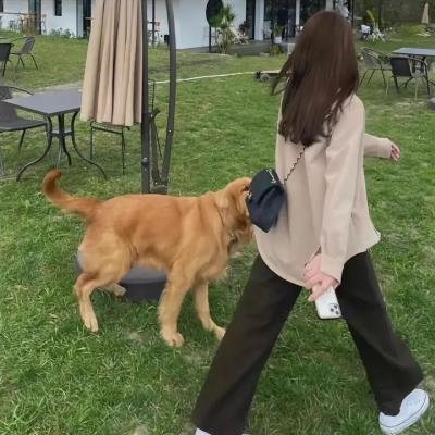 东北往事之江湖儿女